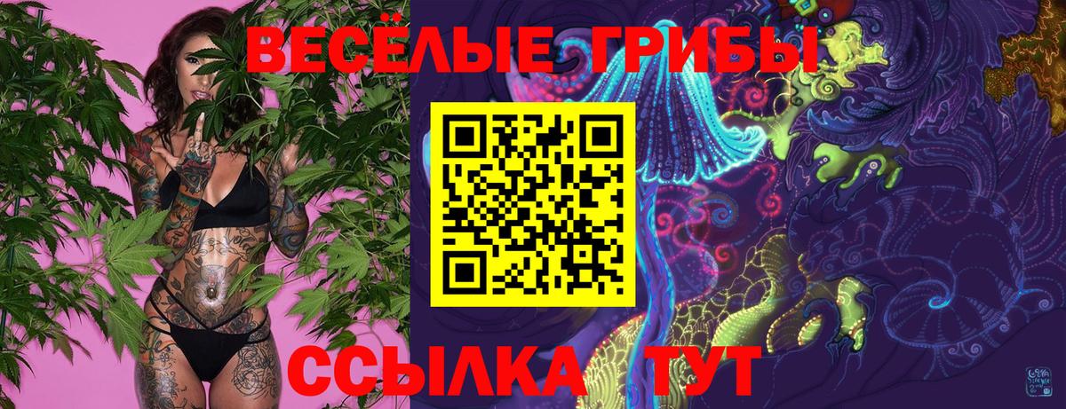 Галлюциногенные грибы мухоморы  Вход с VPN  Чебоксары 